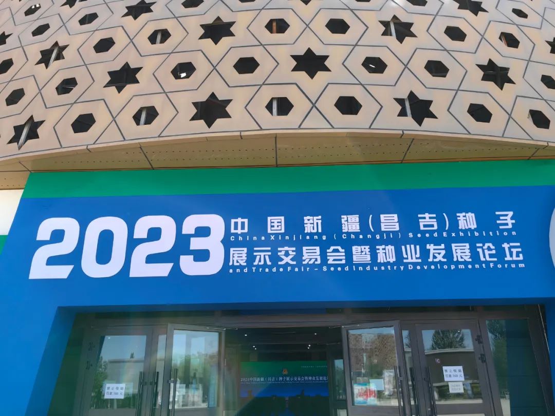 人妻内射一区二区在线视频