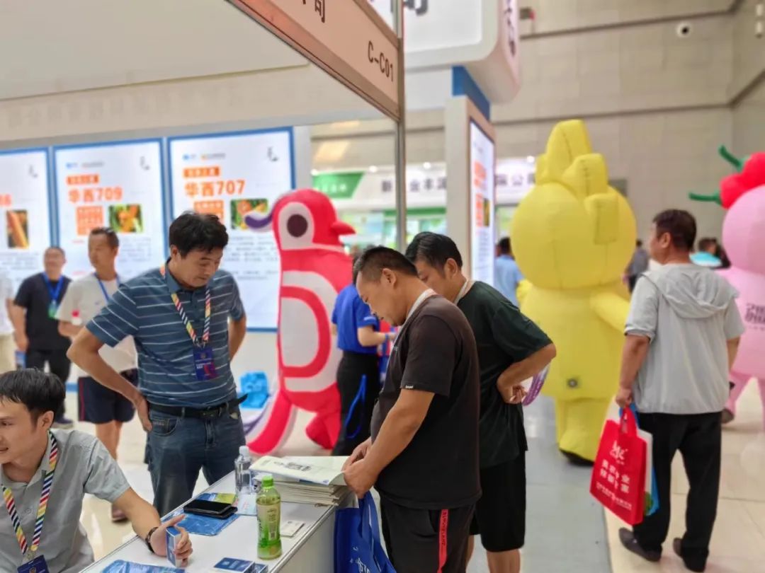 人妻内射一区二区在线视频