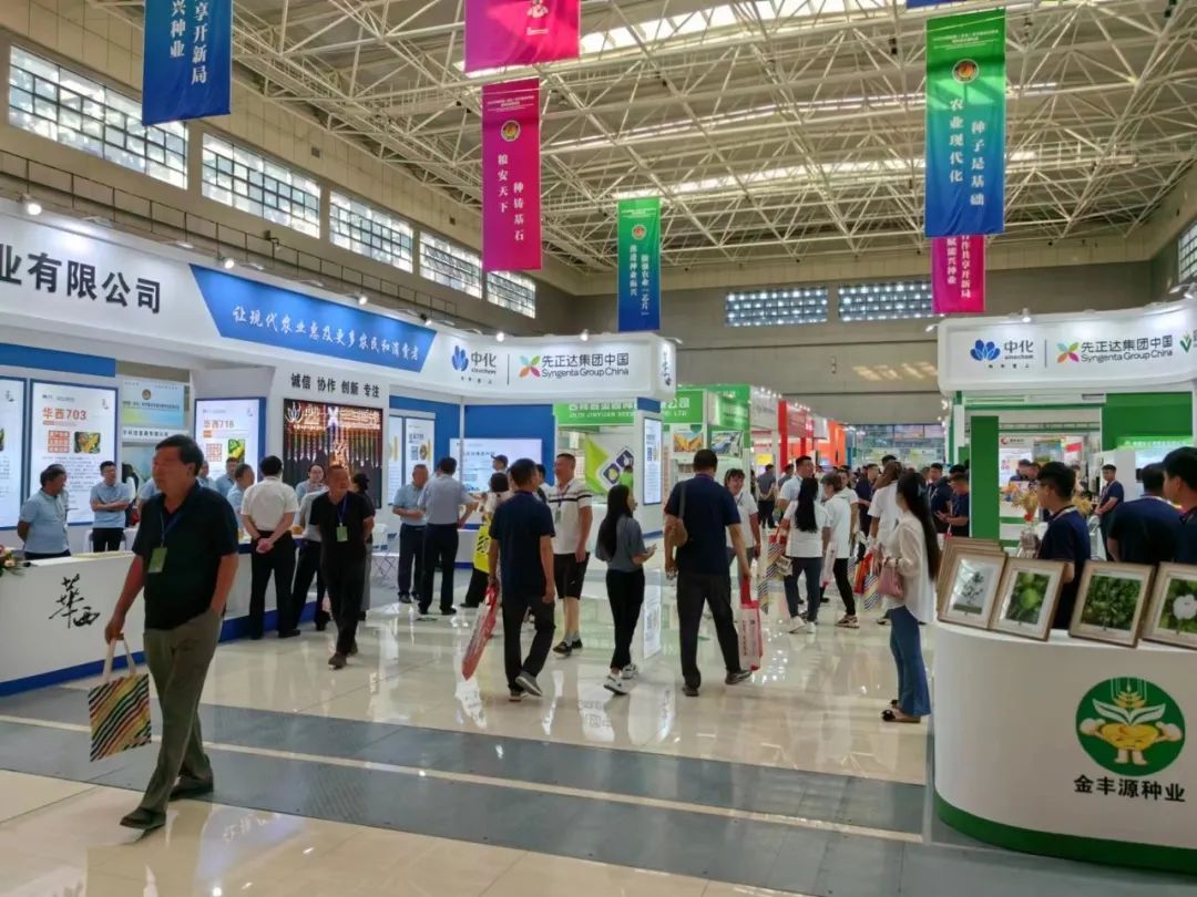 人妻内射一区二区在线视频