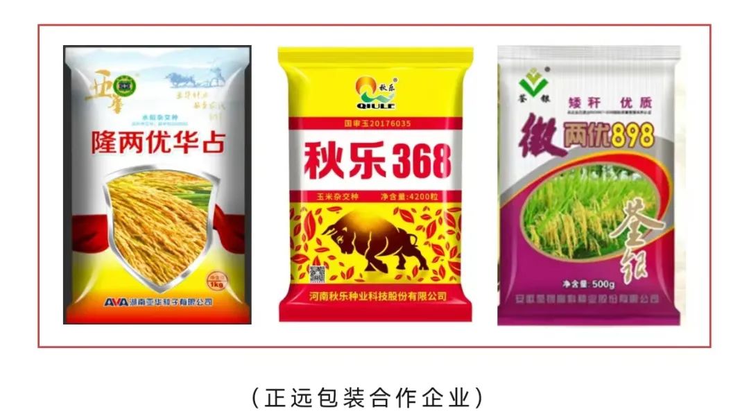 人妻内射一区二区在线视频