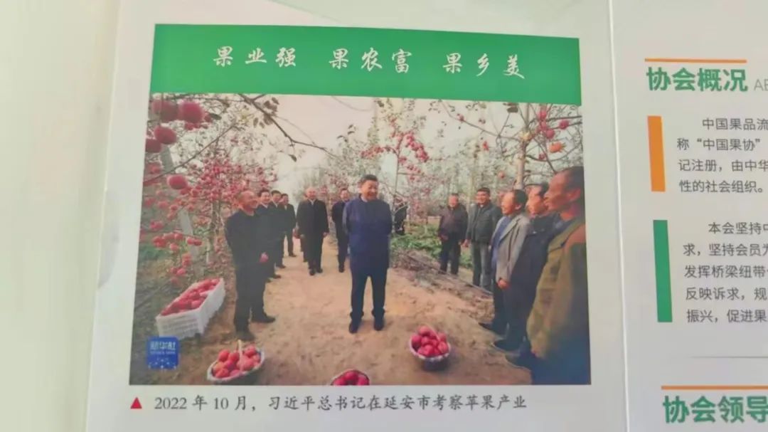 人妻内射一区二区在线视频