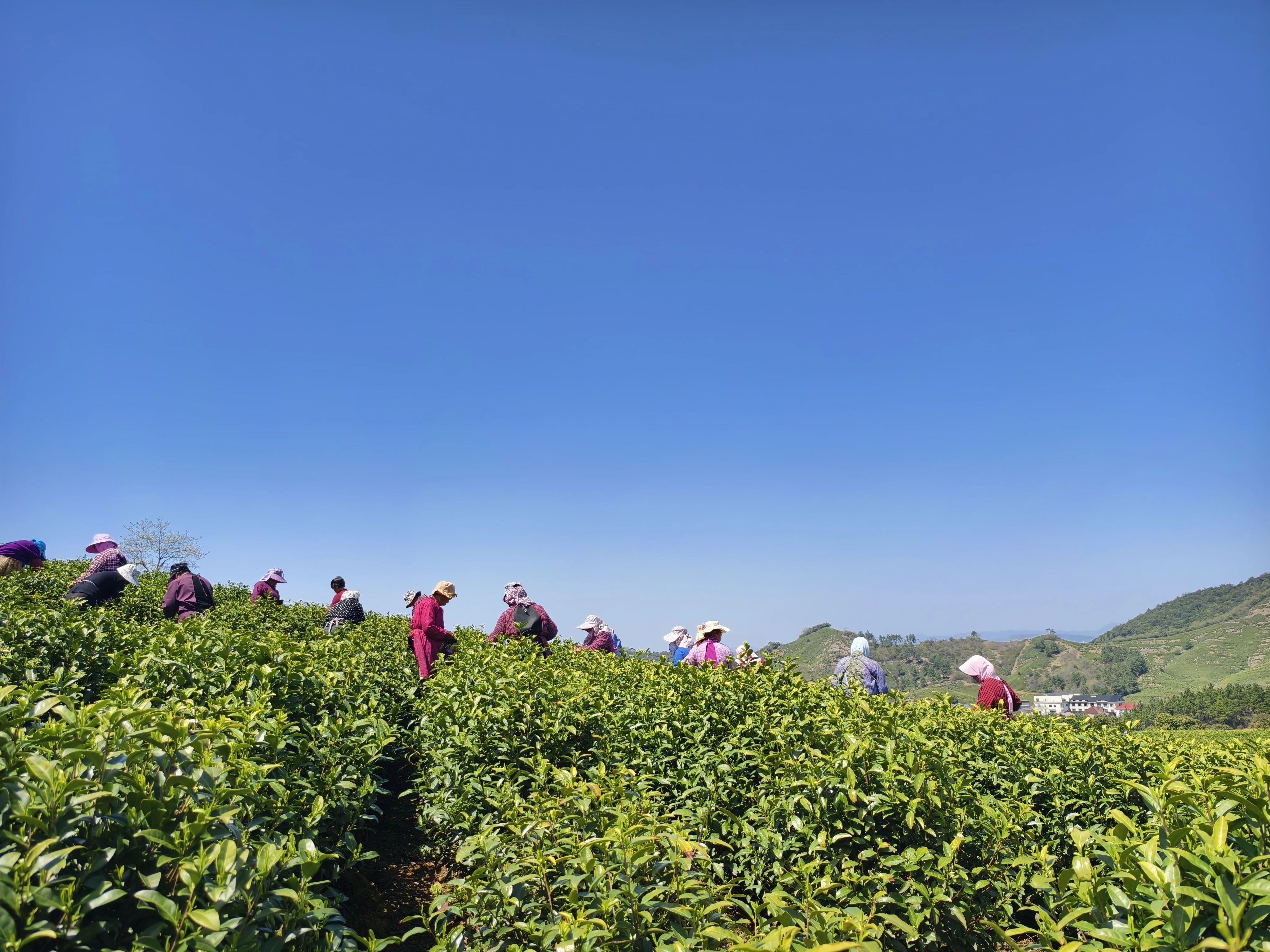 人妻内射一区二区在线视频