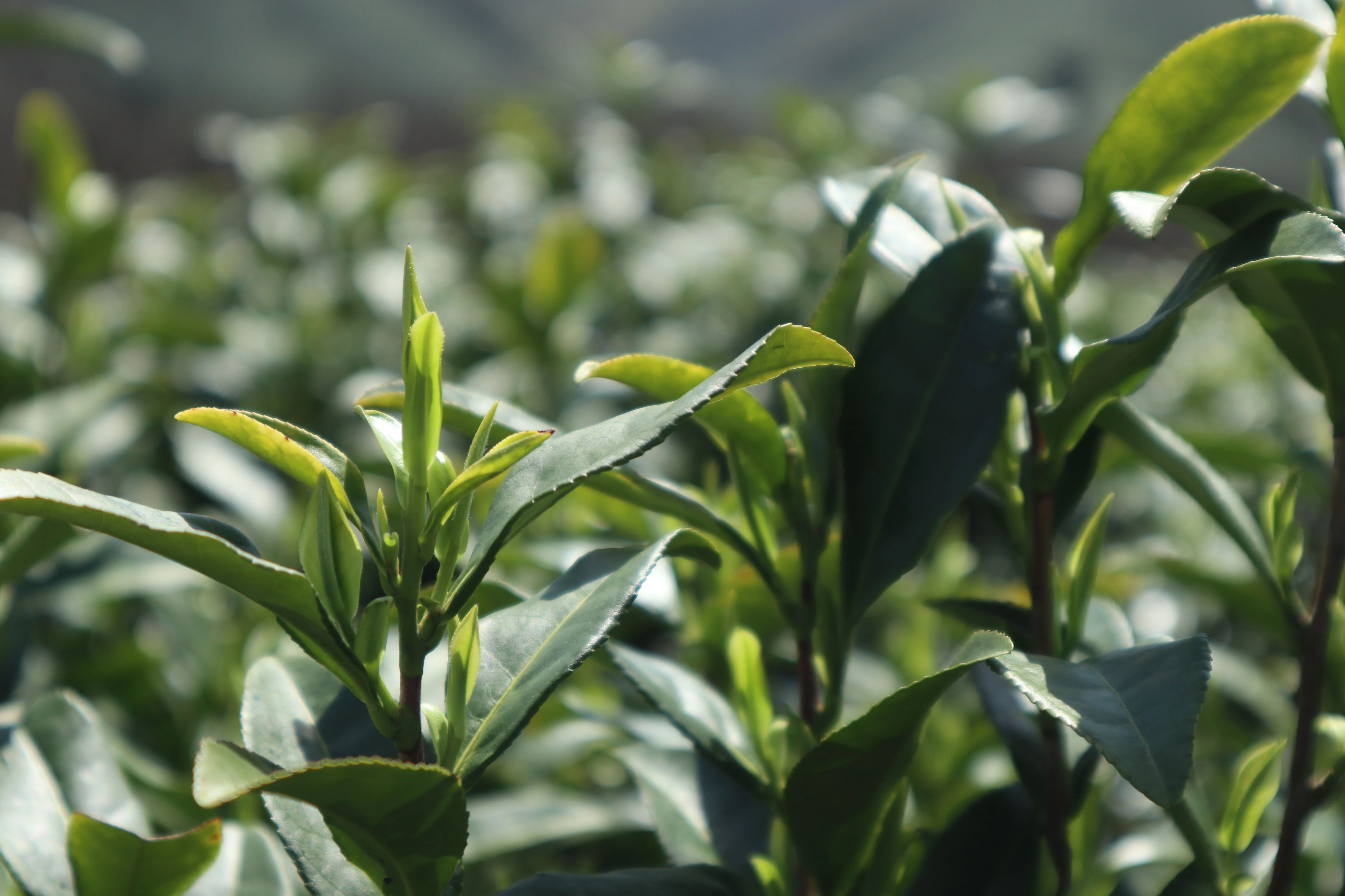 人妻内射一区二区在线视频