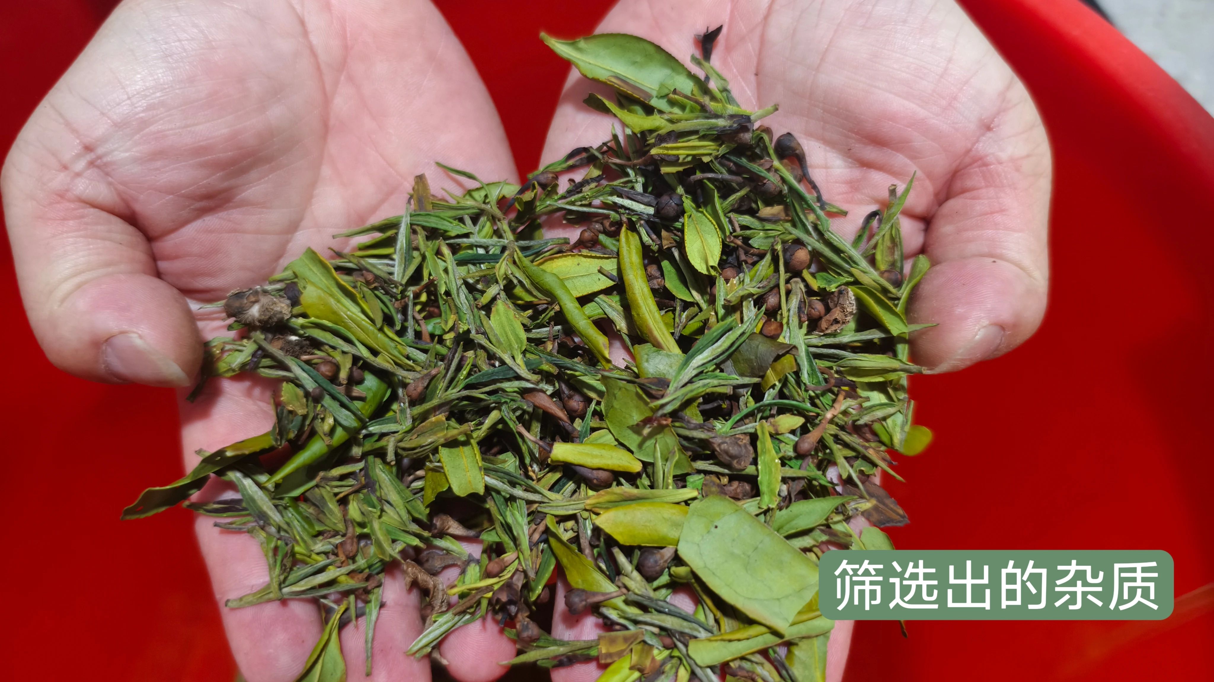 人妻内射一区二区在线视频