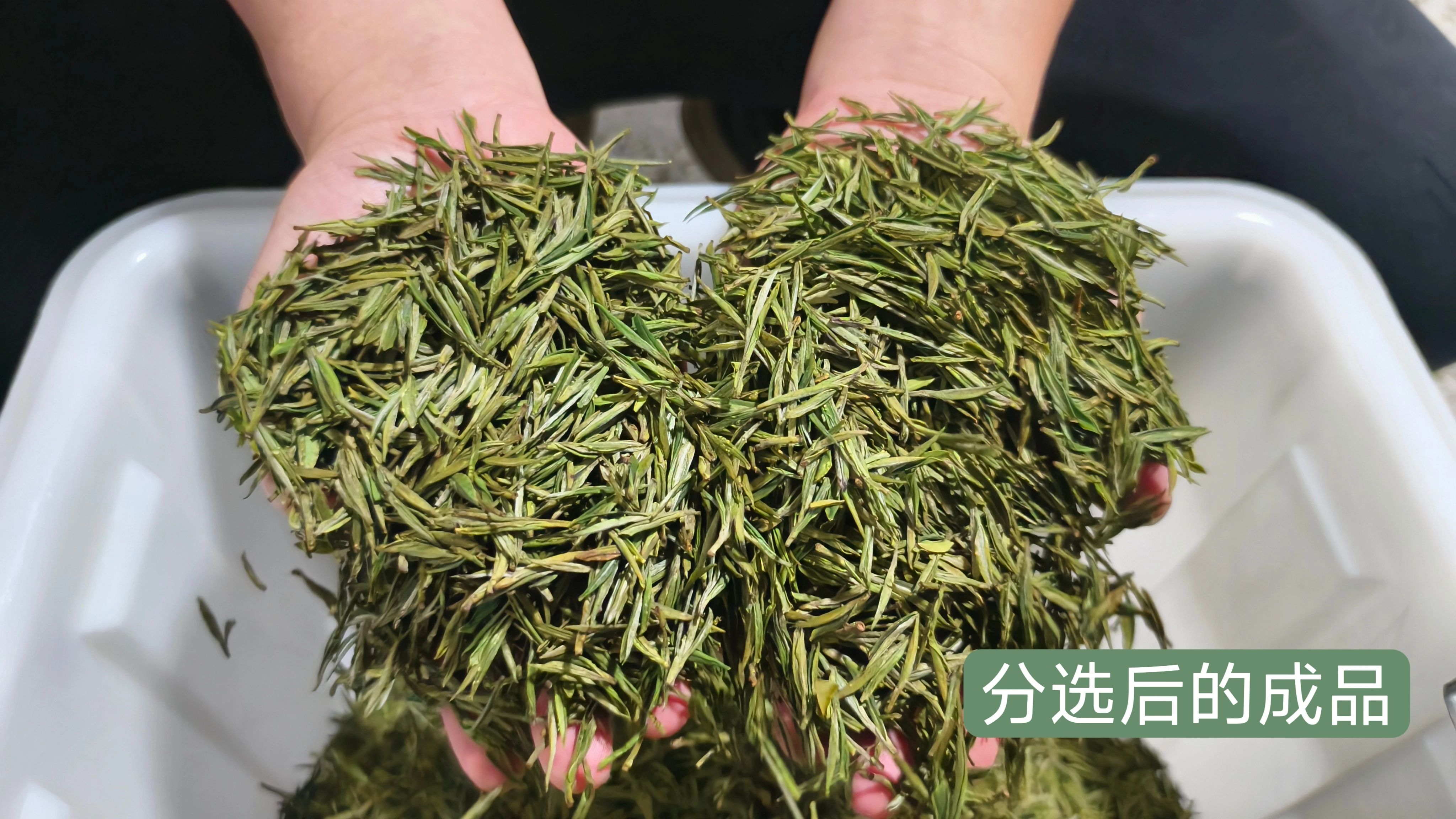 人妻内射一区二区在线视频