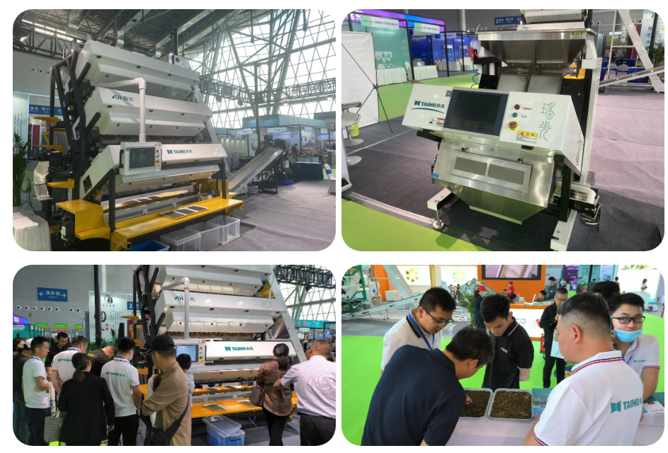 人妻内射一区二区在线视频