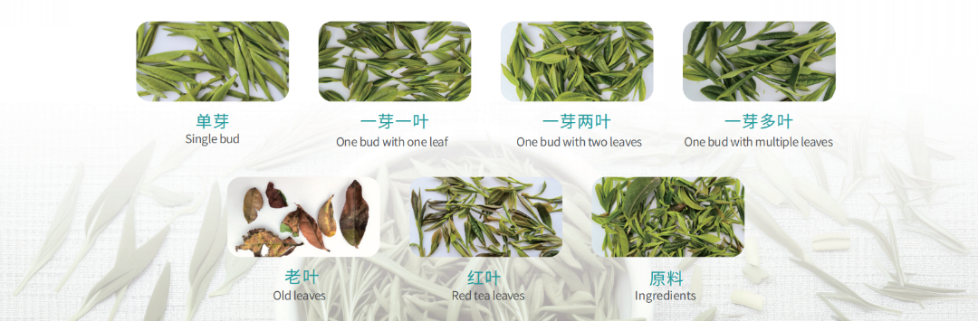 人妻内射一区二区在线视频