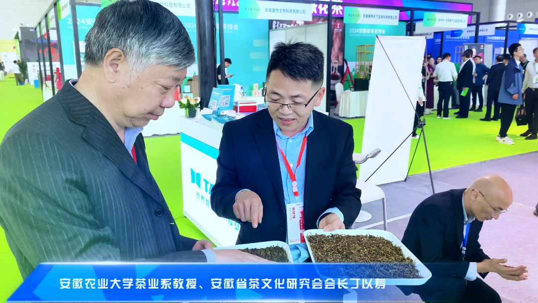 人妻内射一区二区在线视频