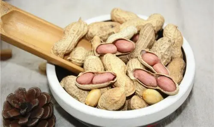 人妻内射一区二区在线视频