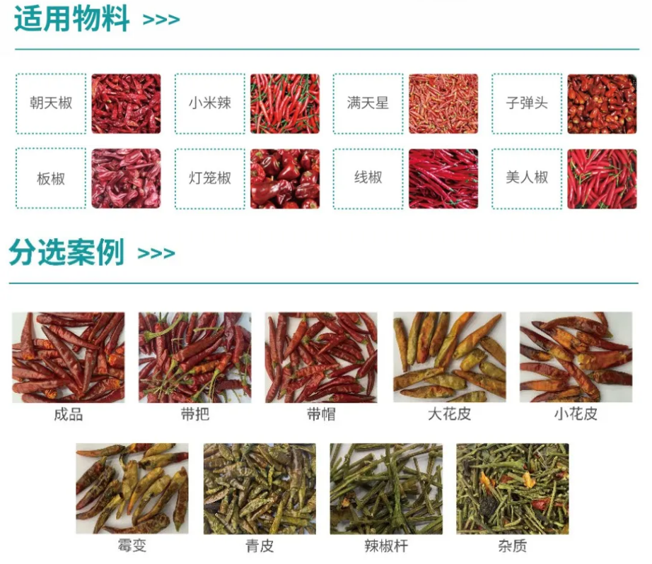 人妻内射一区二区在线视频