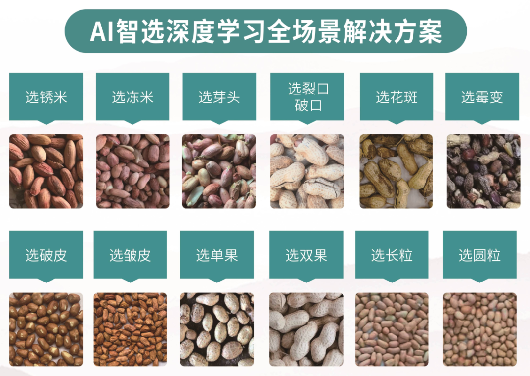 人妻内射一区二区在线视频