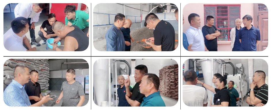 人妻内射一区二区在线视频