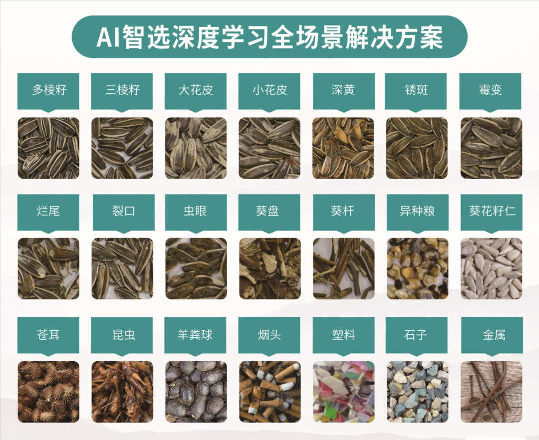 人妻内射一区二区在线视频