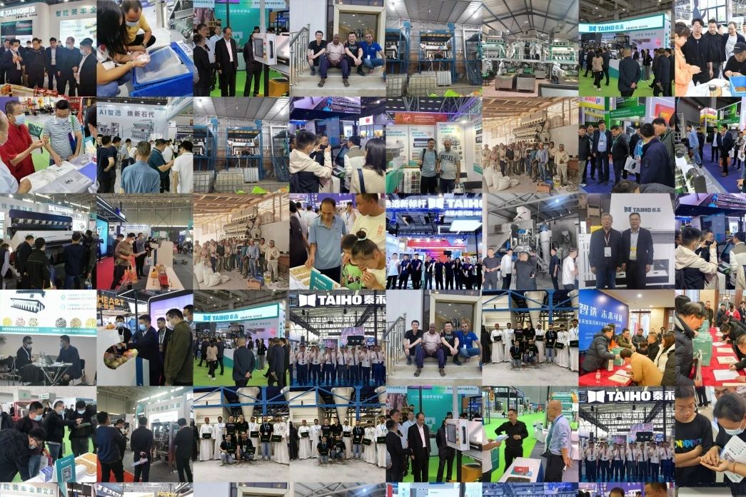 人妻内射一区二区在线视频