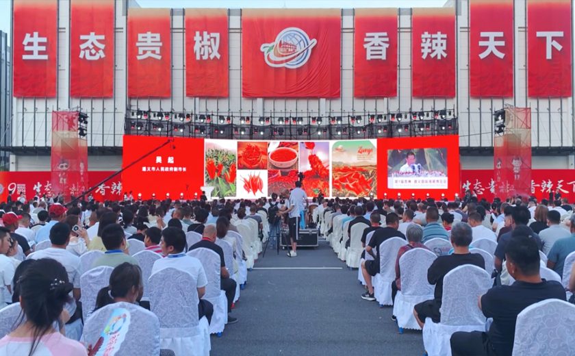 人妻内射一区二区在线视频