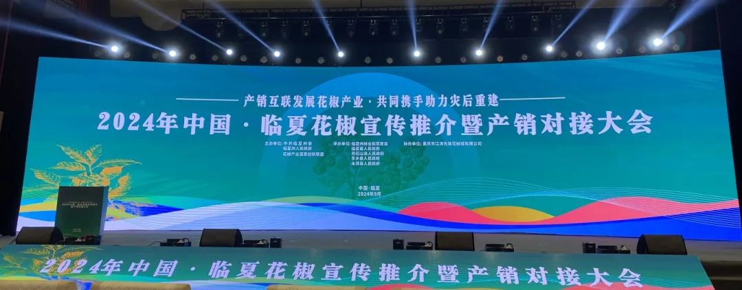 人妻内射一区二区在线视频