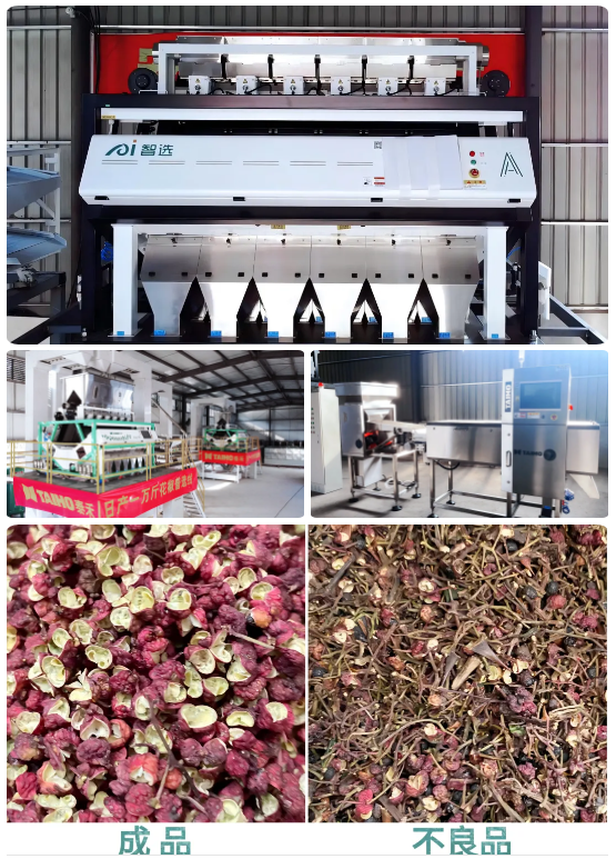 人妻内射一区二区在线视频