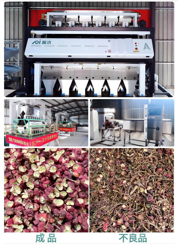 人妻内射一区二区在线视频