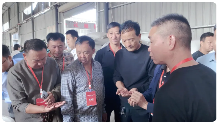 人妻内射一区二区在线视频