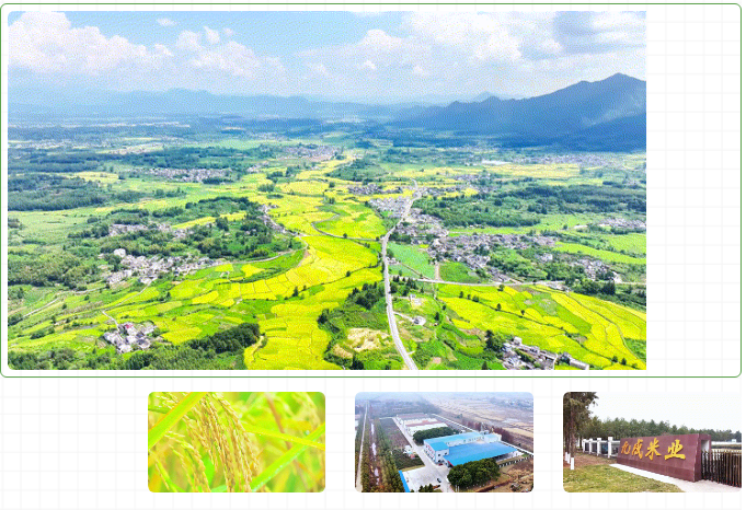 人妻内射一区二区在线视频