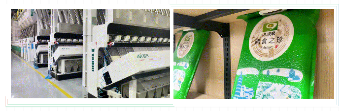 人妻内射一区二区在线视频