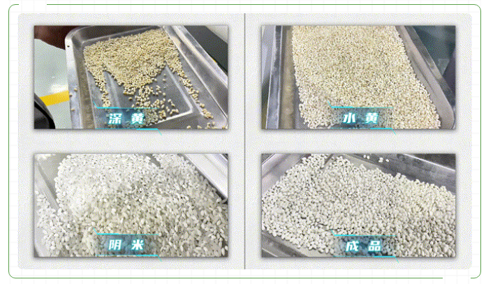 人妻内射一区二区在线视频