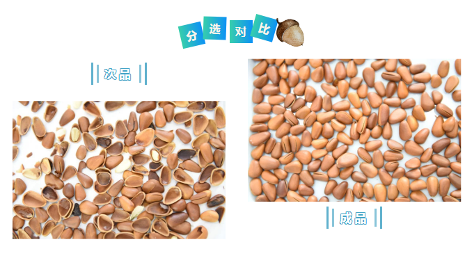 人妻内射一区二区在线视频