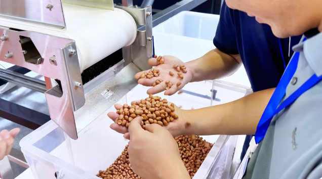 人妻内射一区二区在线视频