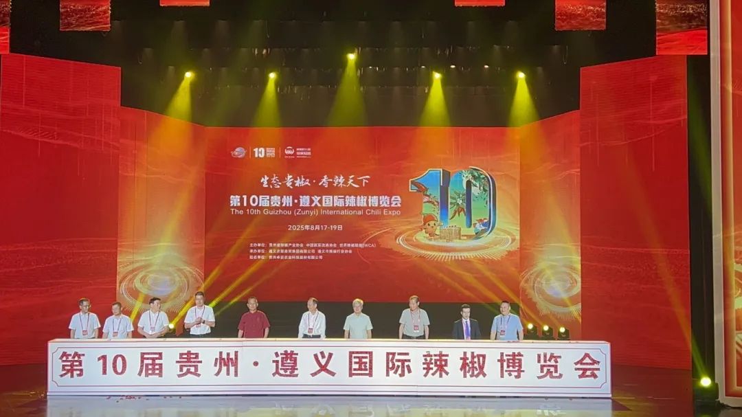 人妻内射一区二区在线视频