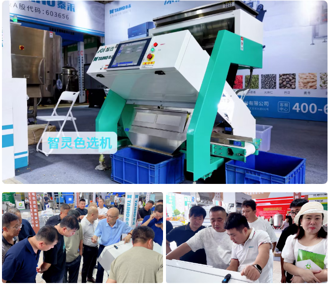 人妻内射一区二区在线视频