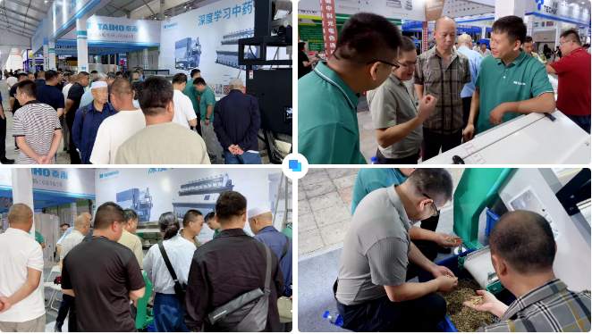 人妻内射一区二区在线视频