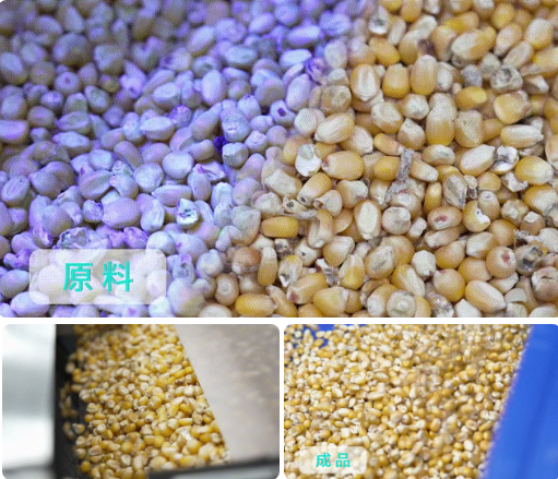 人妻内射一区二区在线视频