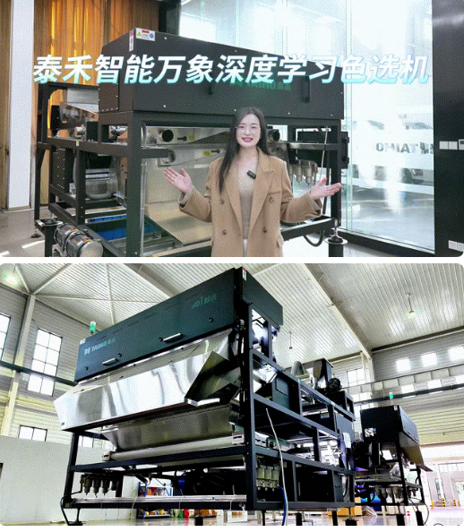 人妻内射一区二区在线视频