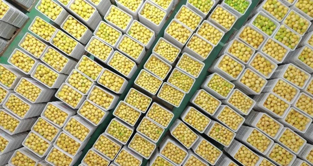 人妻内射一区二区在线视频