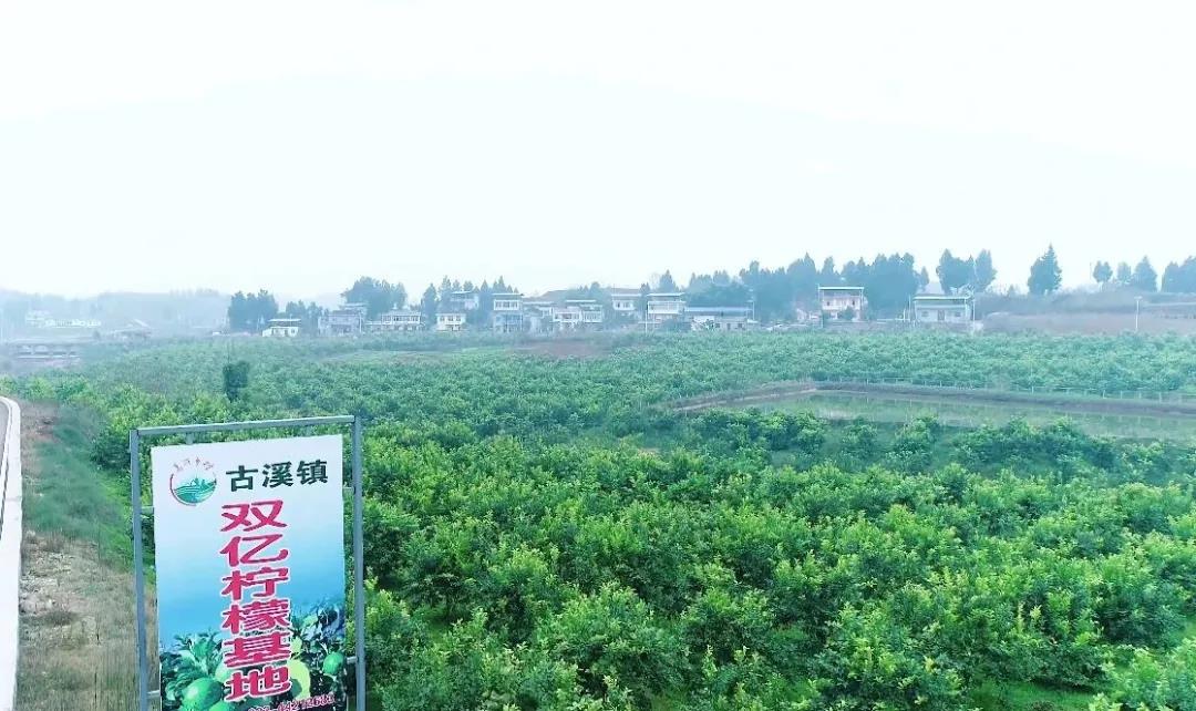 人妻内射一区二区在线视频