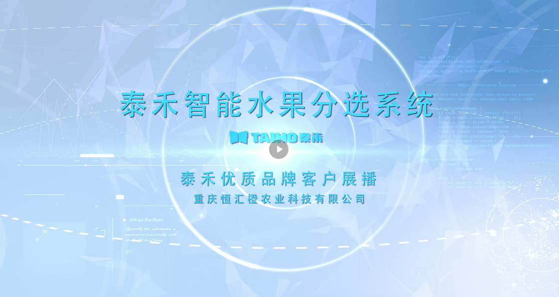 人妻内射一区二区在线视频