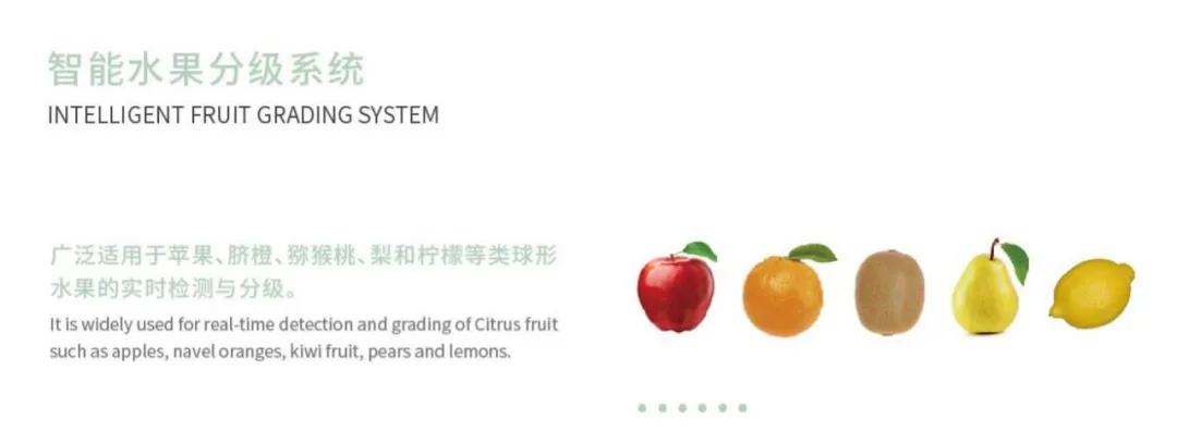 人妻内射一区二区在线视频