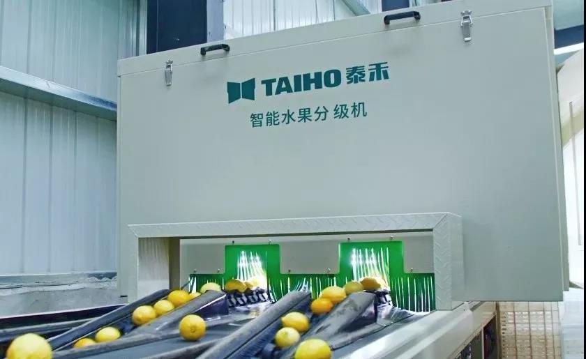 人妻内射一区二区在线视频