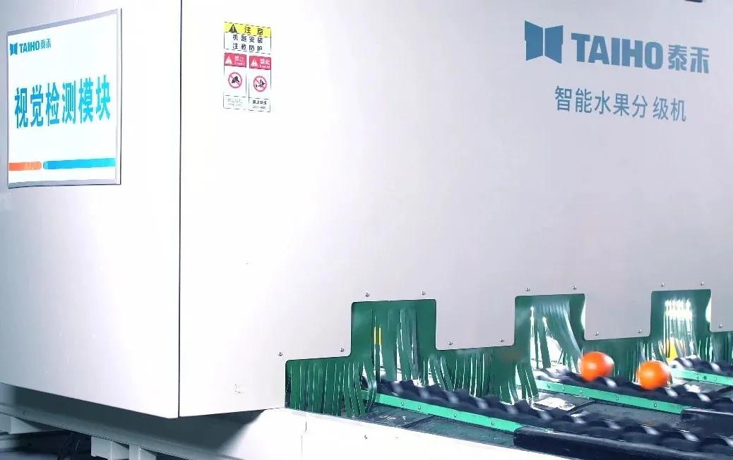 人妻内射一区二区在线视频