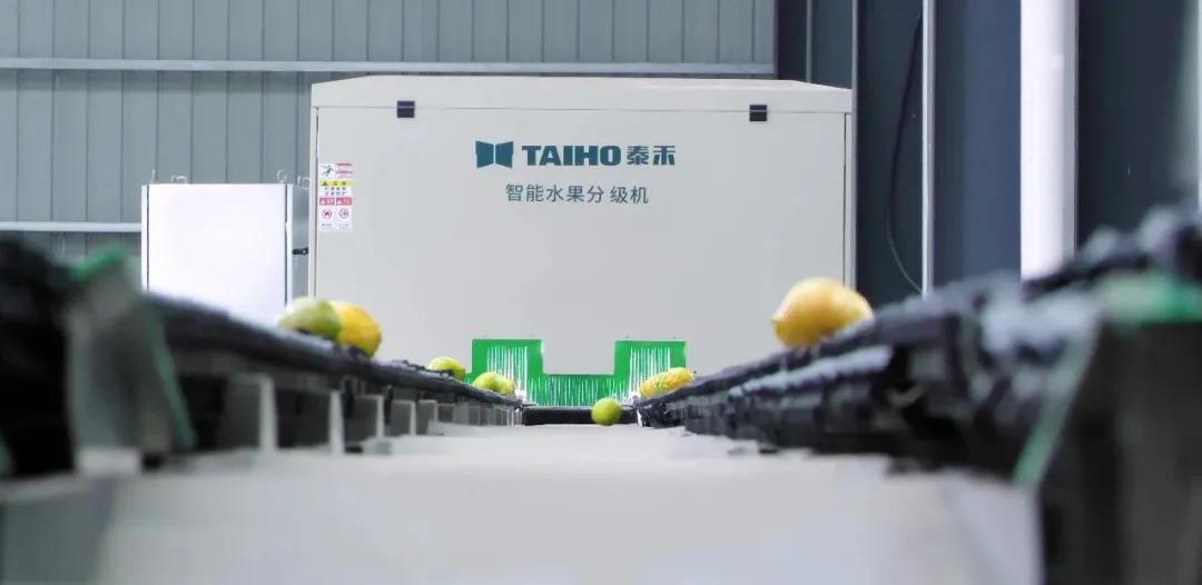 人妻内射一区二区在线视频