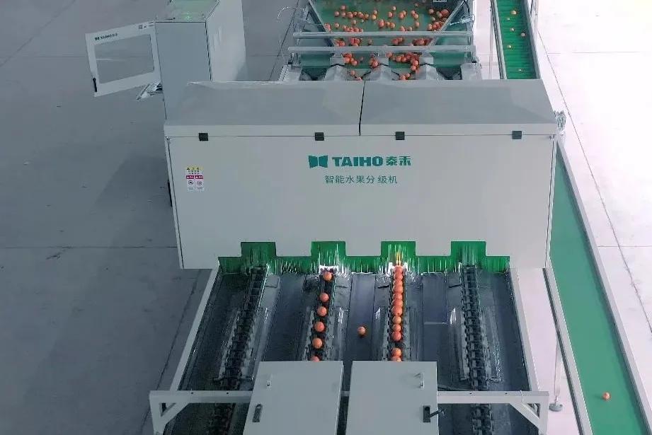 人妻内射一区二区在线视频