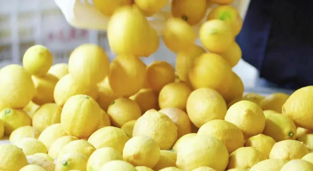 人妻内射一区二区在线视频