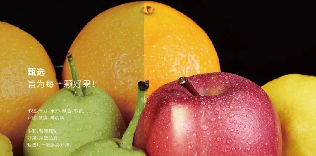 人妻内射一区二区在线视频