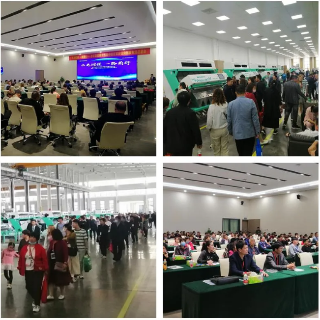 人妻内射一区二区在线视频