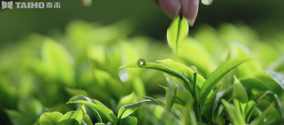 人妻内射一区二区在线视频