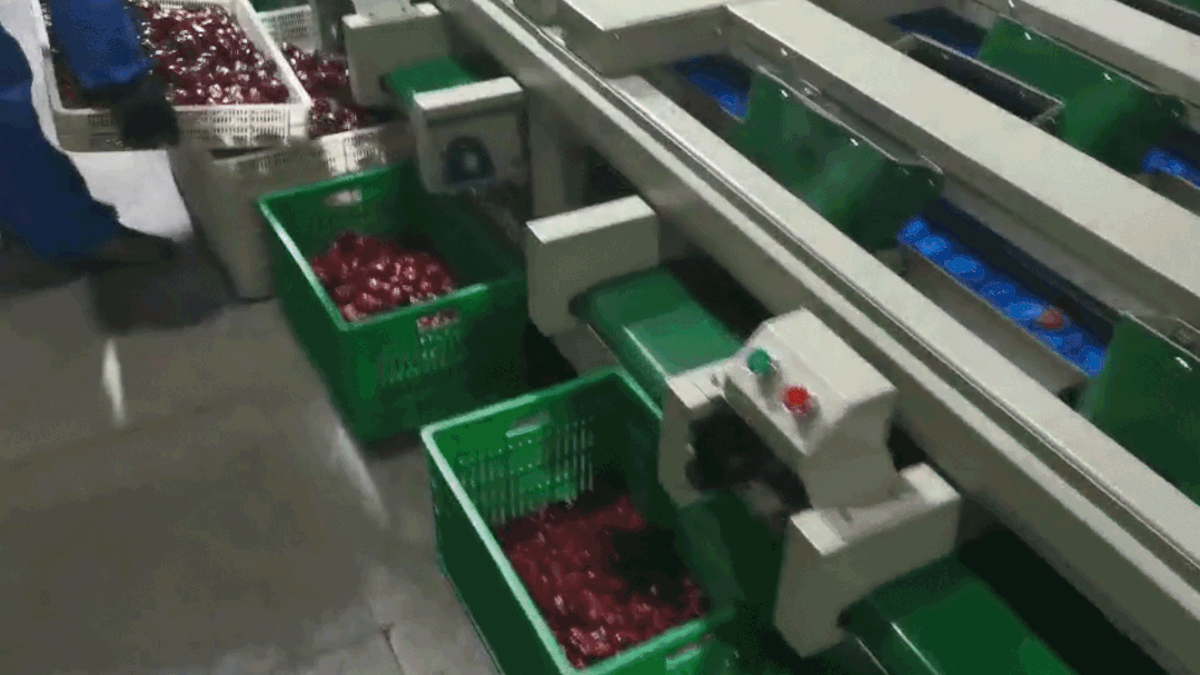 人妻内射一区二区在线视频