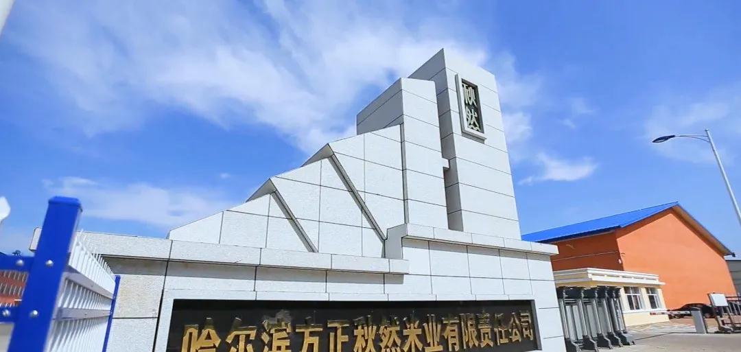 人妻内射一区二区在线视频