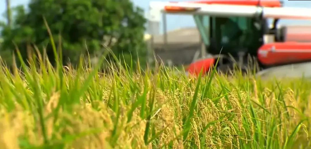 人妻内射一区二区在线视频