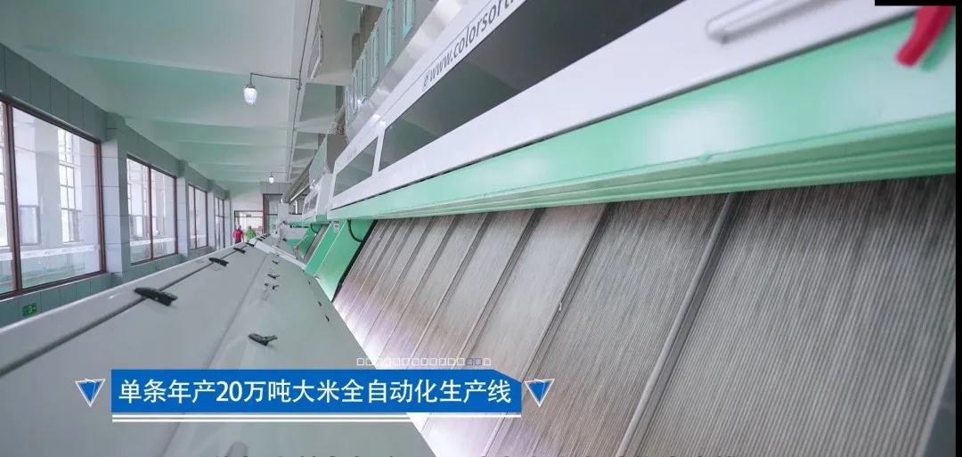 人妻内射一区二区在线视频