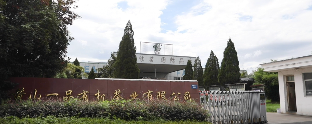 人妻内射一区二区在线视频